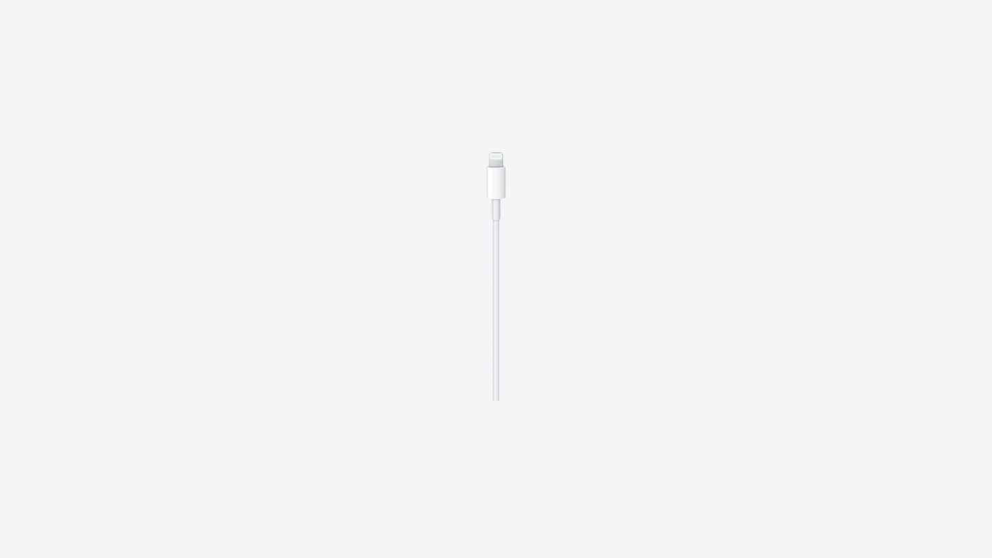 USB-C to Lightning Cable